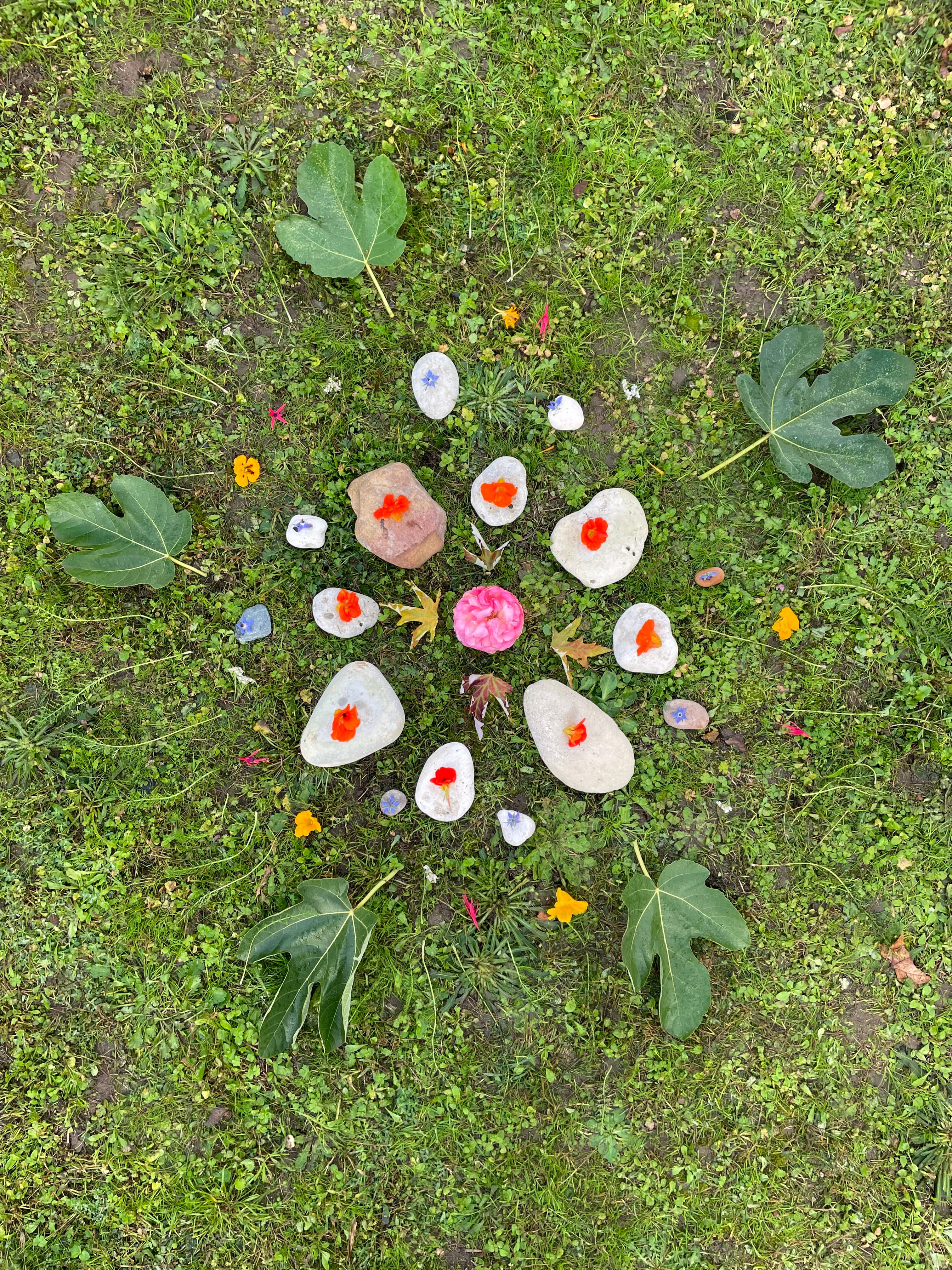 Stage Connaissance de Soi & Nature